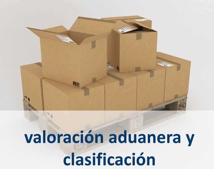 Portfolio-image